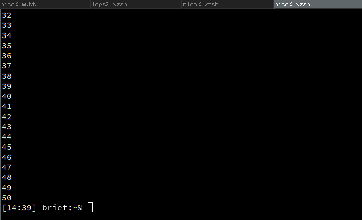 Source Code Pro in a terminal